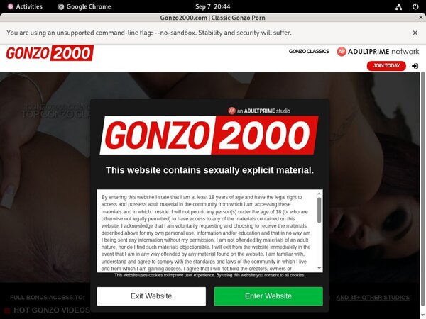 2000 Gonzo Porn