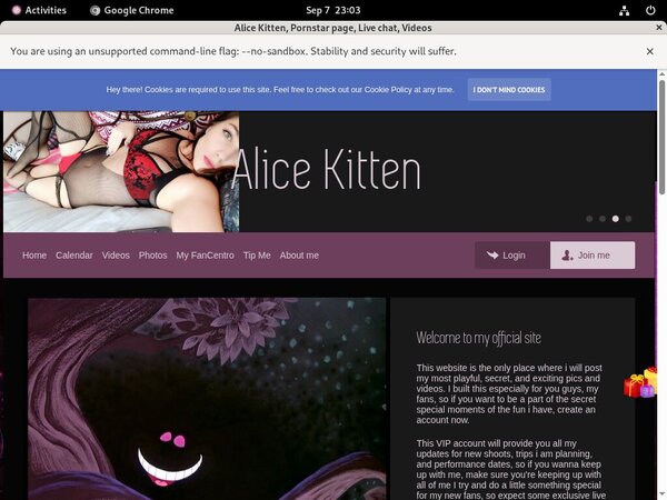 Alice Kitten Accont
