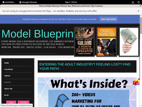 AmberlyPSO Password Info