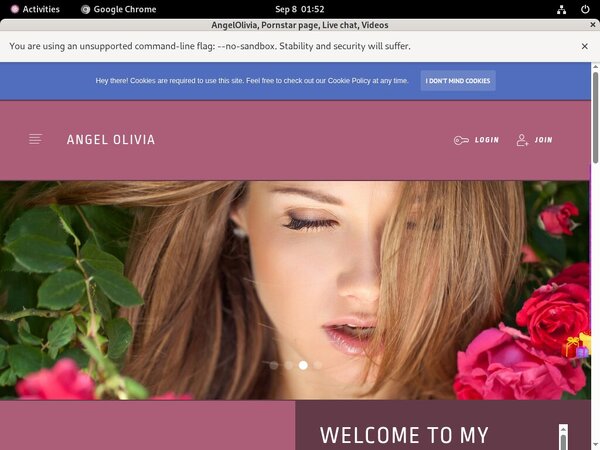 AngelOlivia Telephone Billing AngelOlivia Telephone Billing