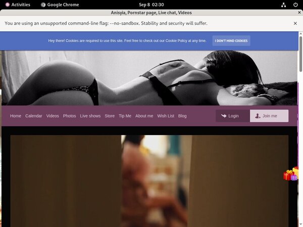 Anisyia Full Website