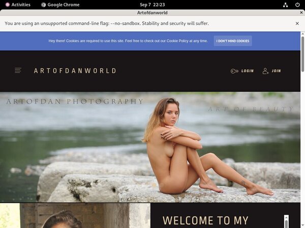 Artofdan Sex Movies