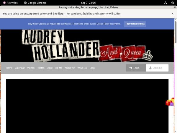 Audrey Hollander Model