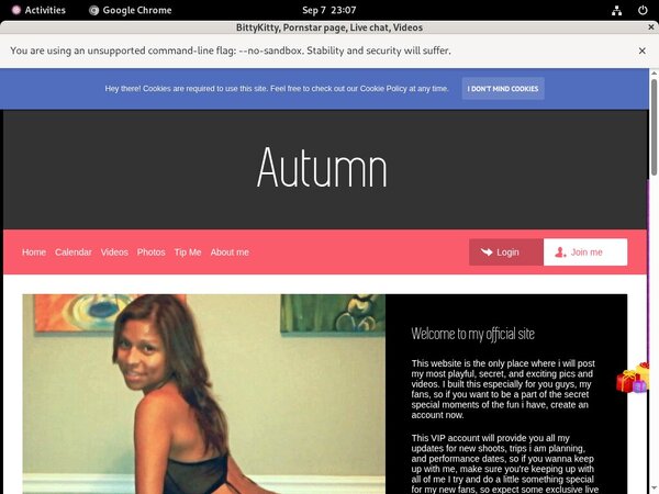 BittyKitty Active Password