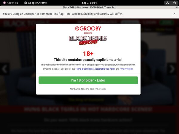 Blacktgirlshardcore.com New Porn