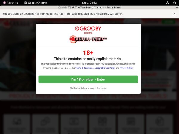 Canada-tgirl.com Login Generator