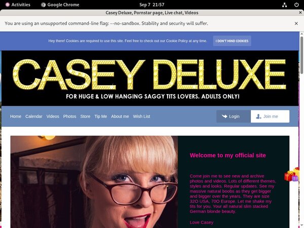 CaseyDeluxe Checkout