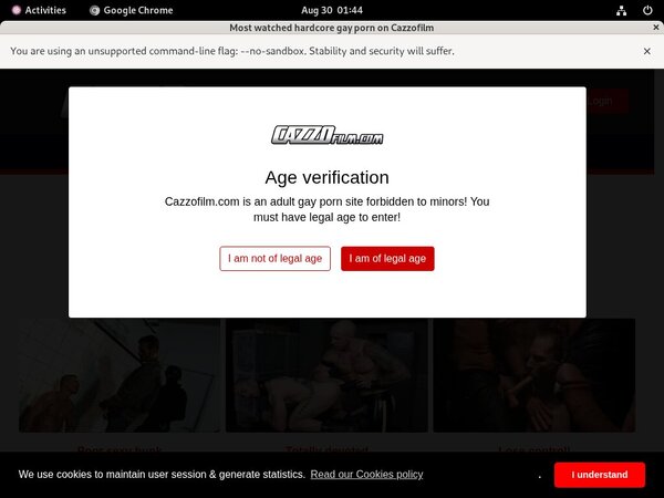 Cazzo.fr Account And Passwords