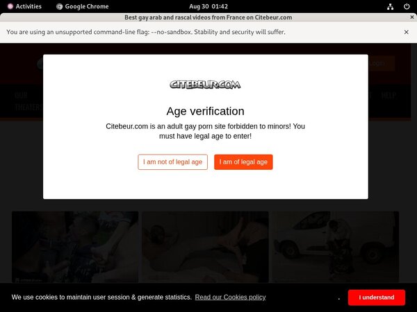 Citebeur Site Review Citebeur Site Review