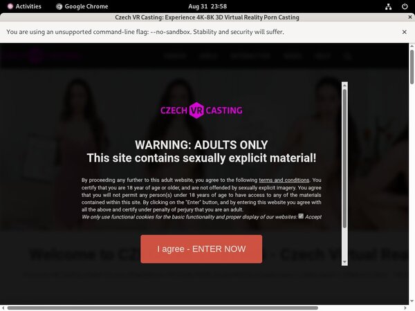 Czechvrcasting.com Paysite Review