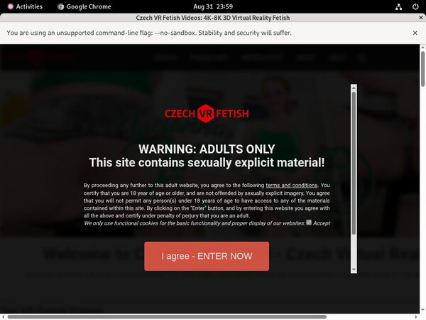 Czechvrfetish.com Netbilling