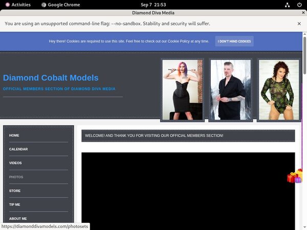 Diamonddivamodels.com Hot Sex