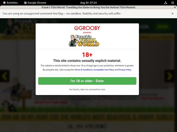 Discount Codes Franks T-Girl World