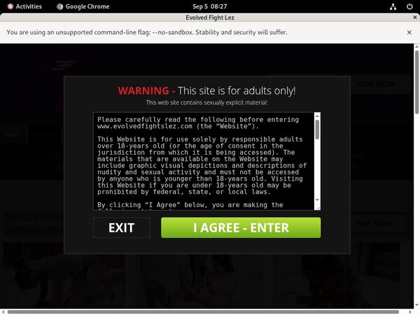 Evolved Fights Lez Clips4sale
