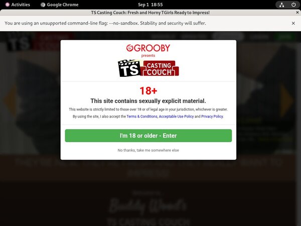 Free TS Casting Couch Accounts And Passwords