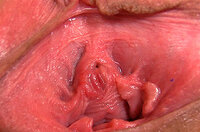 Gape My Pussy Full Website s2