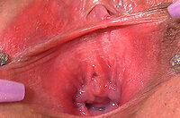 Gapemypussy Mit ELV s2 Gapemypussy Mit ELV s2