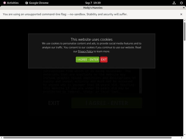 Hollyshunnies.com Payporn Discount