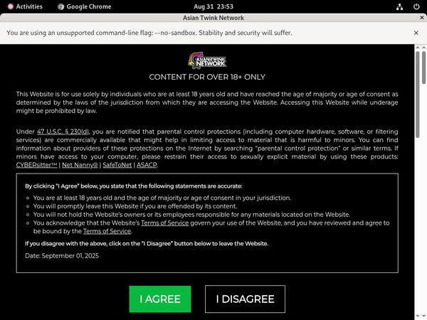 How To Get Thaigayboys.com For Free