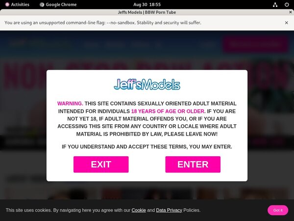 Jeff's Models Access