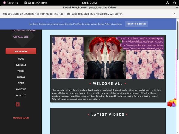 KawaiiSkye Account New