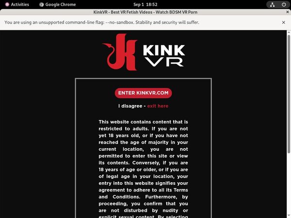 Kinkvr.com Discount 50% Off