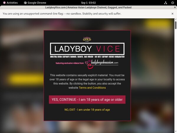 Ladyboyvice.com Password Details