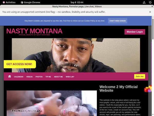 Nasty Montana Model