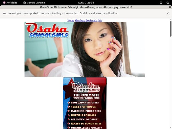Osakaschoolgirls.com Site Review
