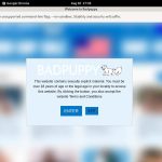 Paypal With Badpuppy