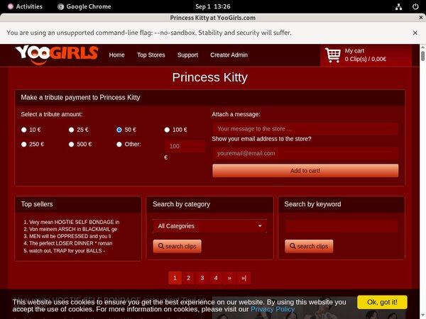 Princess Kitty Discount Special