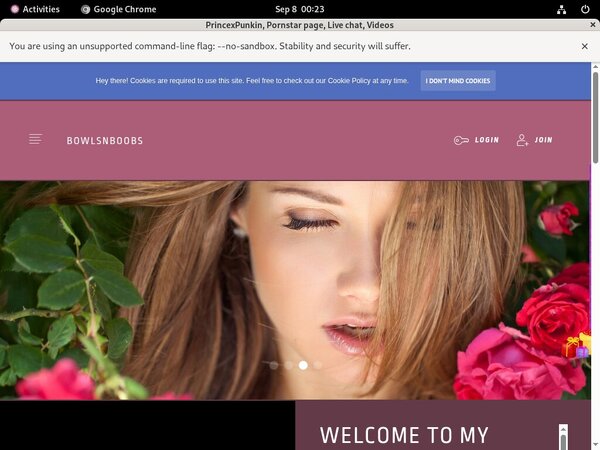 PrincexPunkin Account Logins
