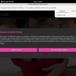 SariSander Accounts Working