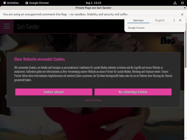 SariSander Promotion SariSander Promotion
