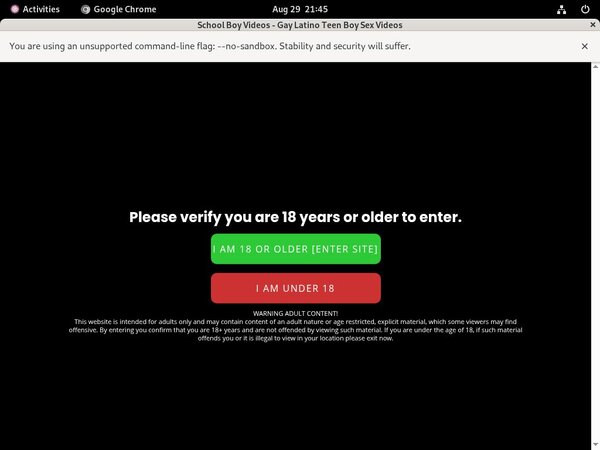 Schoolboyvideos.com Password Bugmenot