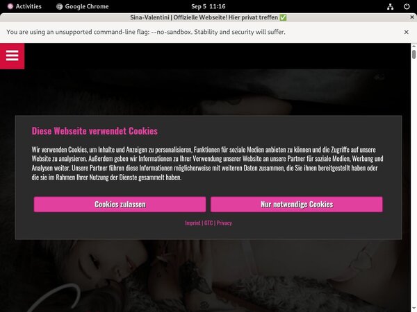 Sina-valentini.de Account For Free