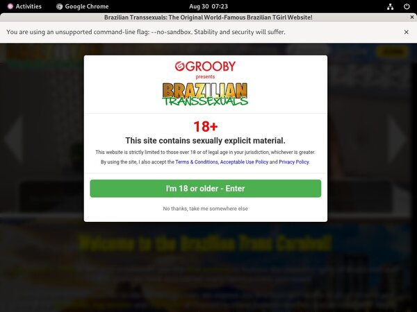 Site Rip Transsexuals Brazilian