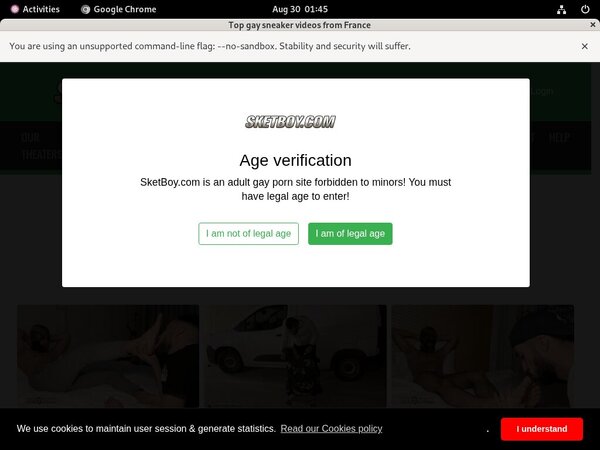 Sketboy.com Porn Password