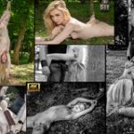 Subspace Land Discount Id Subspace Land Discount Id