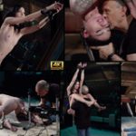 Subspace Land Videos Hd Subspace Land Videos Hd