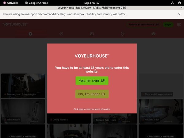 Voyeurhouse Password List