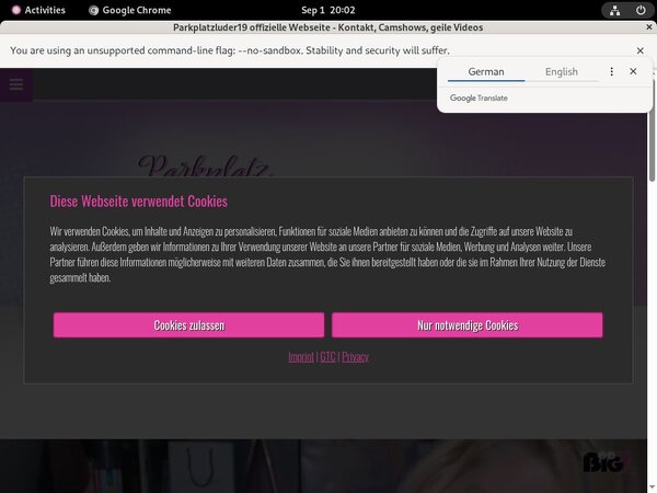 Parkplatzluder19.com Free Pass