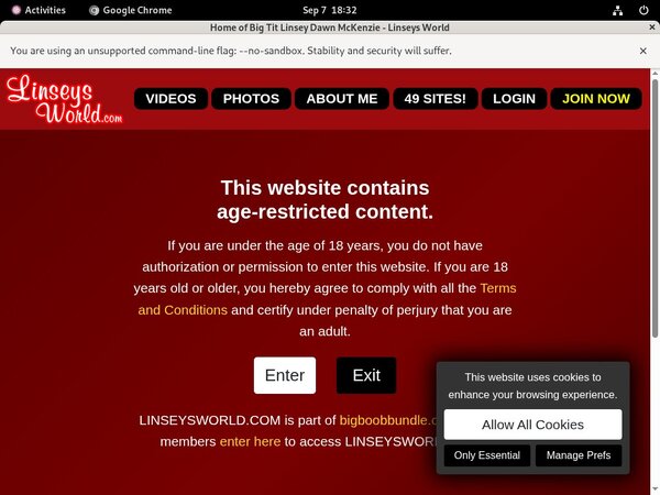 Linseysworld.com Free Download